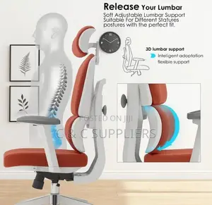 Modern Fabric Ergonomic Adjustable Chair