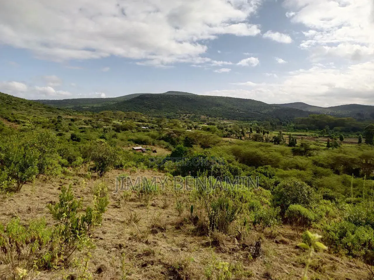 Land on Sale