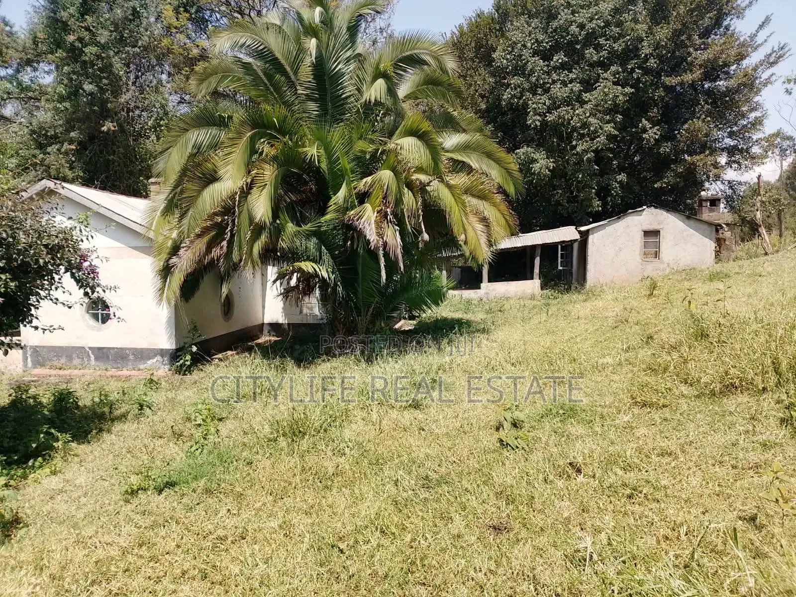 Gilgil , Langa Langa 24 Acres Farm