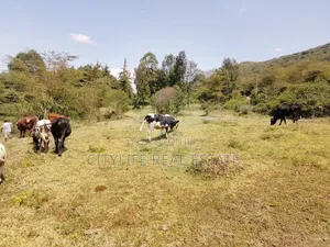 Gilgil , Langa Langa 24 Acres Farm