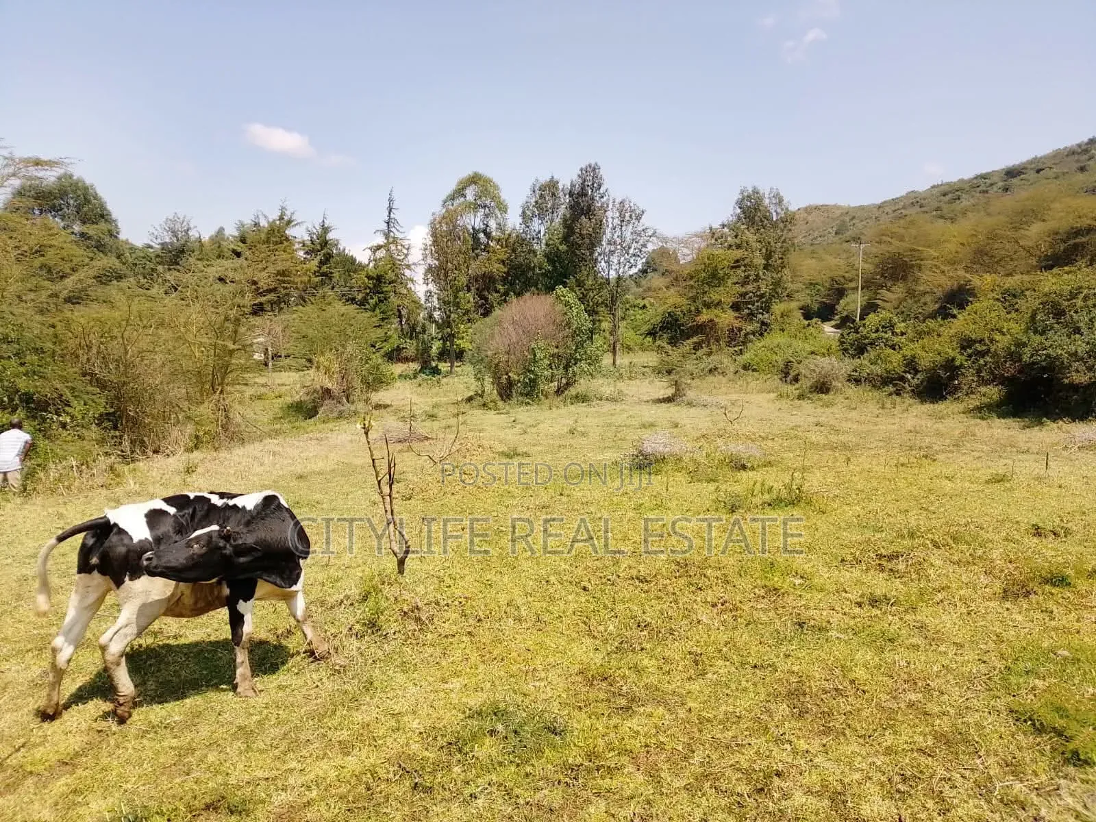 Gilgil , Langa Langa 24 Acres Farm