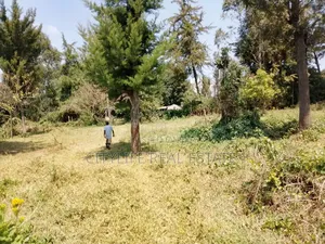 Gilgil , Langa Langa 24 Acres Farm