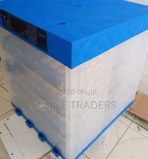 256 Eggs Incubator