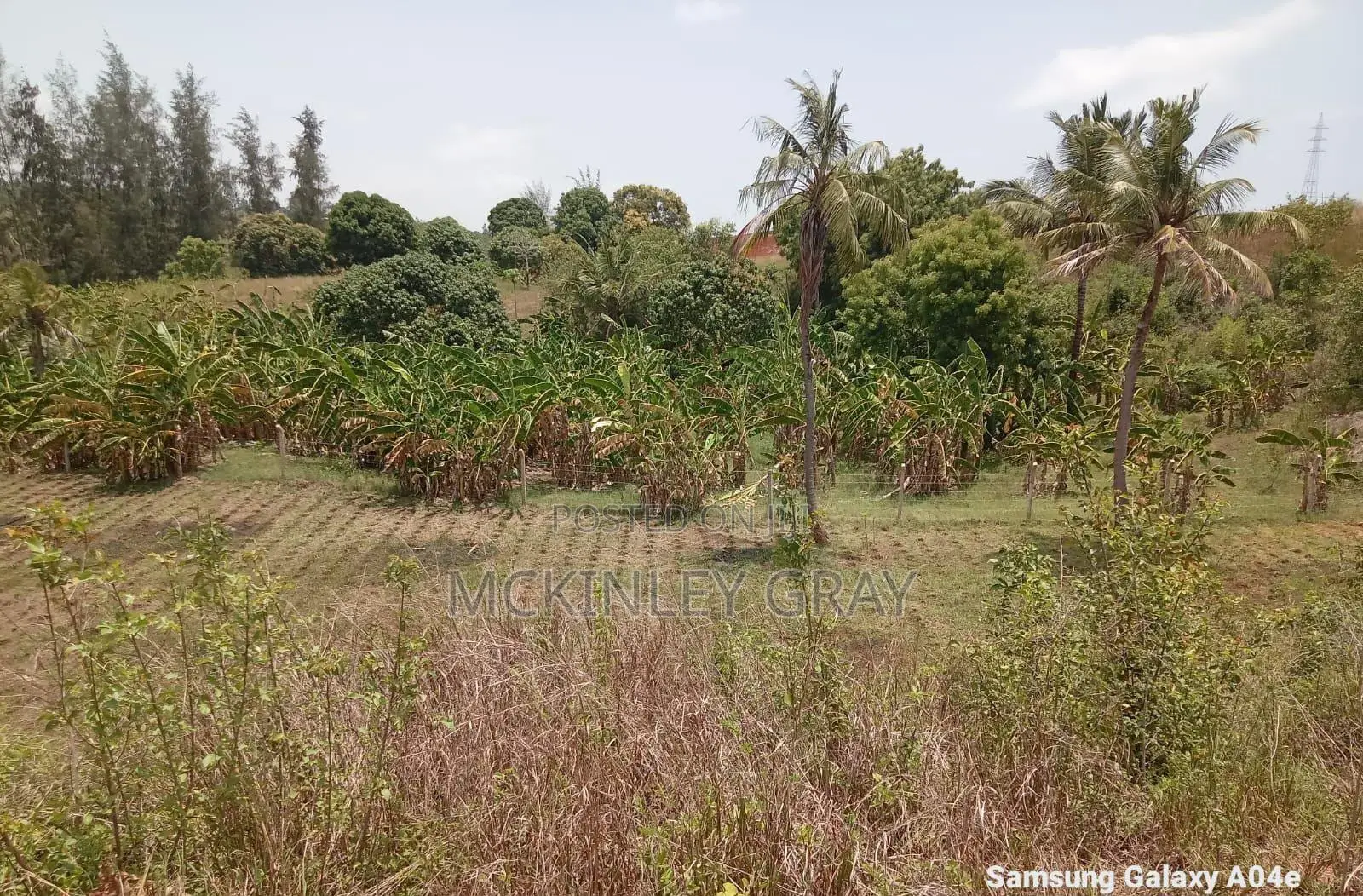Residential Land for Sale