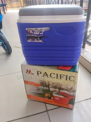 Pacific 10 Litres Chiller Box With Strong Handle