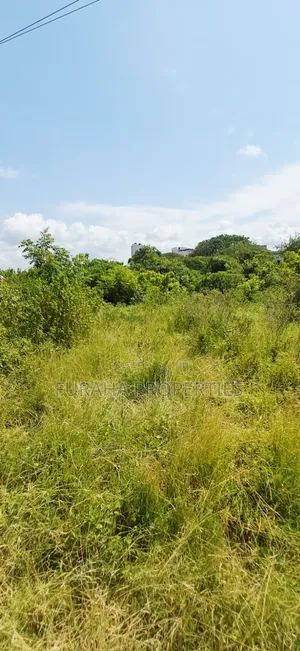 For Sale 2 Acres at the 2nd Raw Beach Shanzu