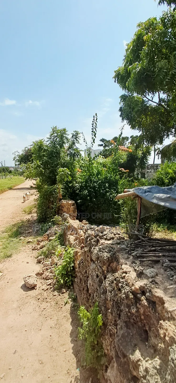 For Sale 2 Acres at the 2nd Raw Beach Shanzu