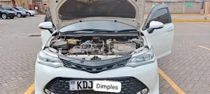 Toyota Corolla Fielder 2015 White