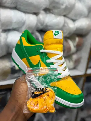 Nike Sb Dunk Skateboarding