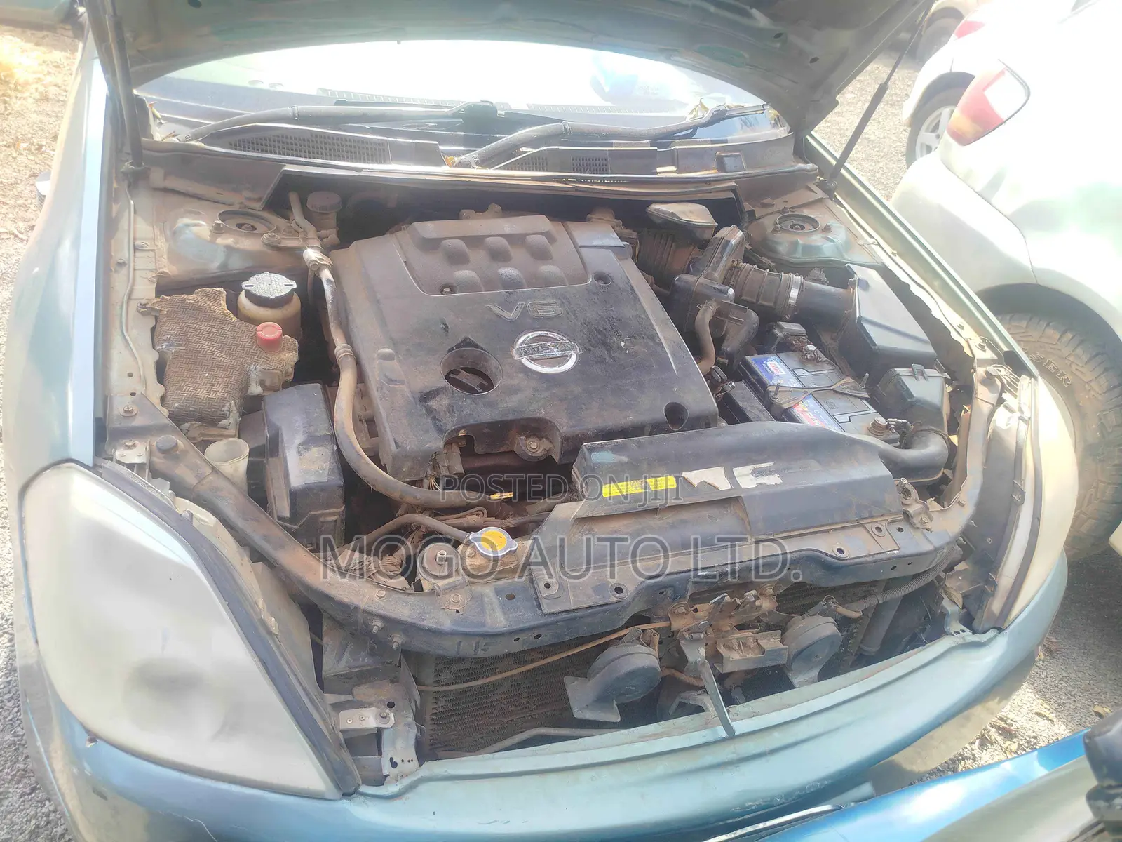 Nissan Teana 2007 Green