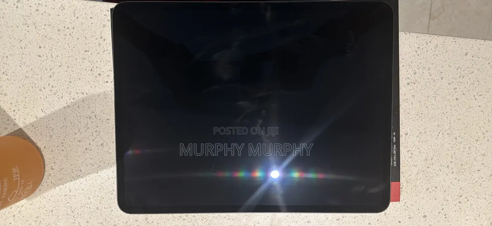 Apple iPad Pro 256 GB Gray