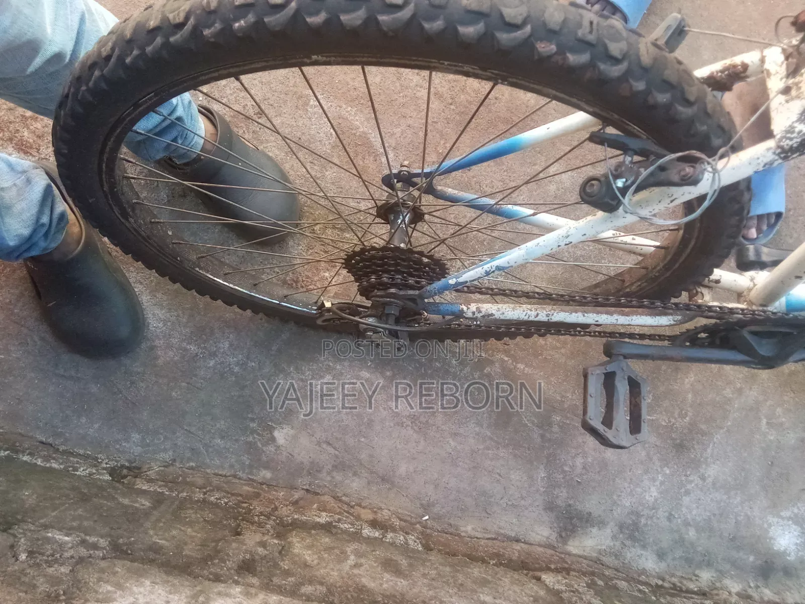 Adventure Bicycle