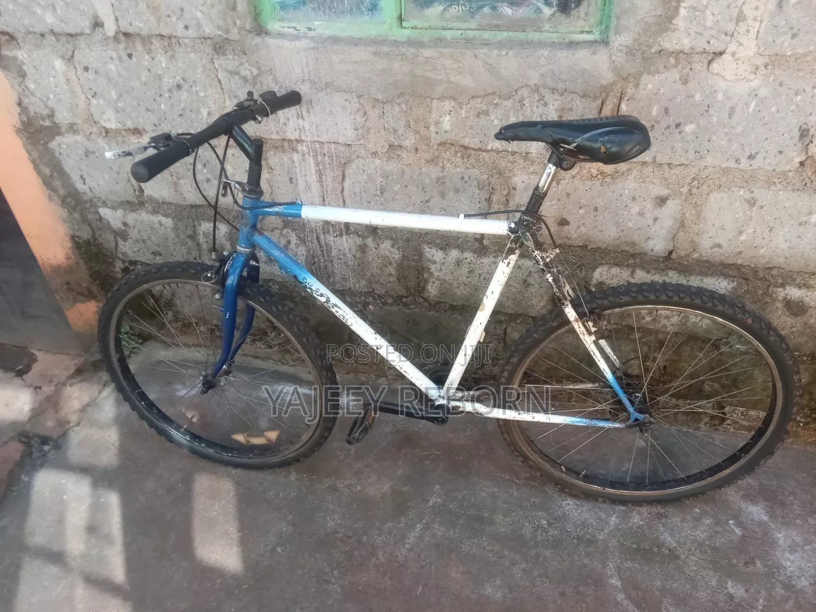 Adventure Bicycle