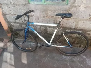 Adventure Bicycle
