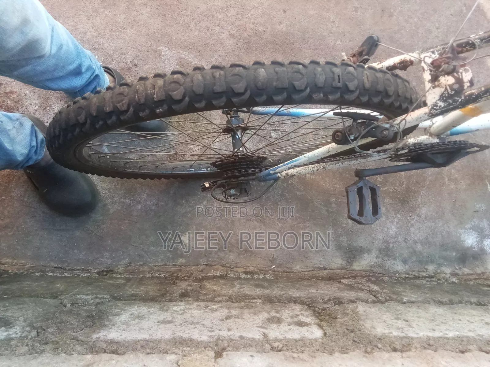 Adventure Bicycle