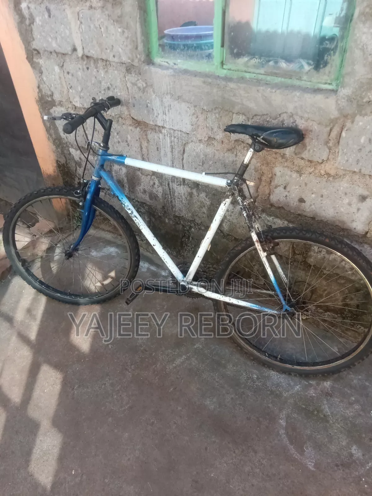 Adventure Bicycle