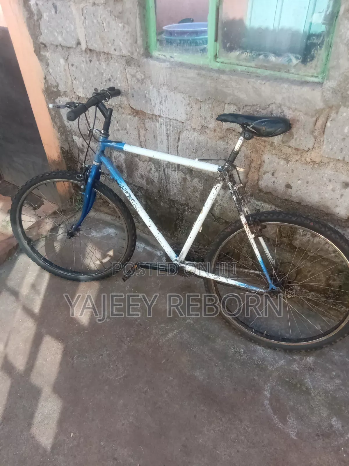 Adventure Bicycle
