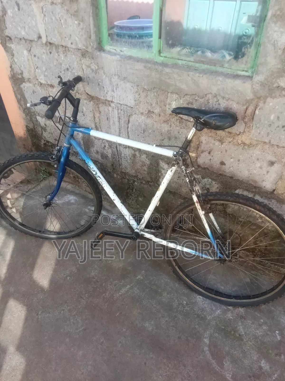 Adventure Bicycle