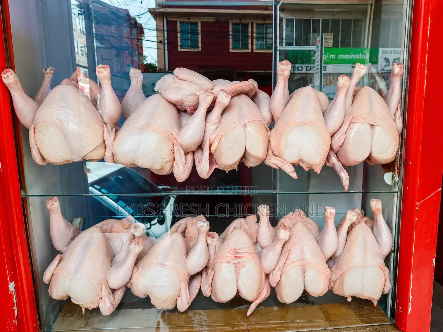 Fresh Chicken