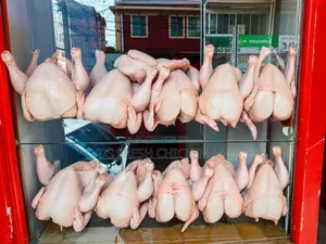 Fresh Chicken