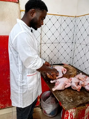 Fresh Chicken