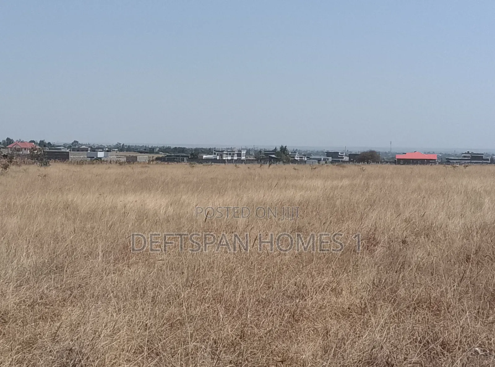 100 by 100 Plot Selling at Kantafu Triple M