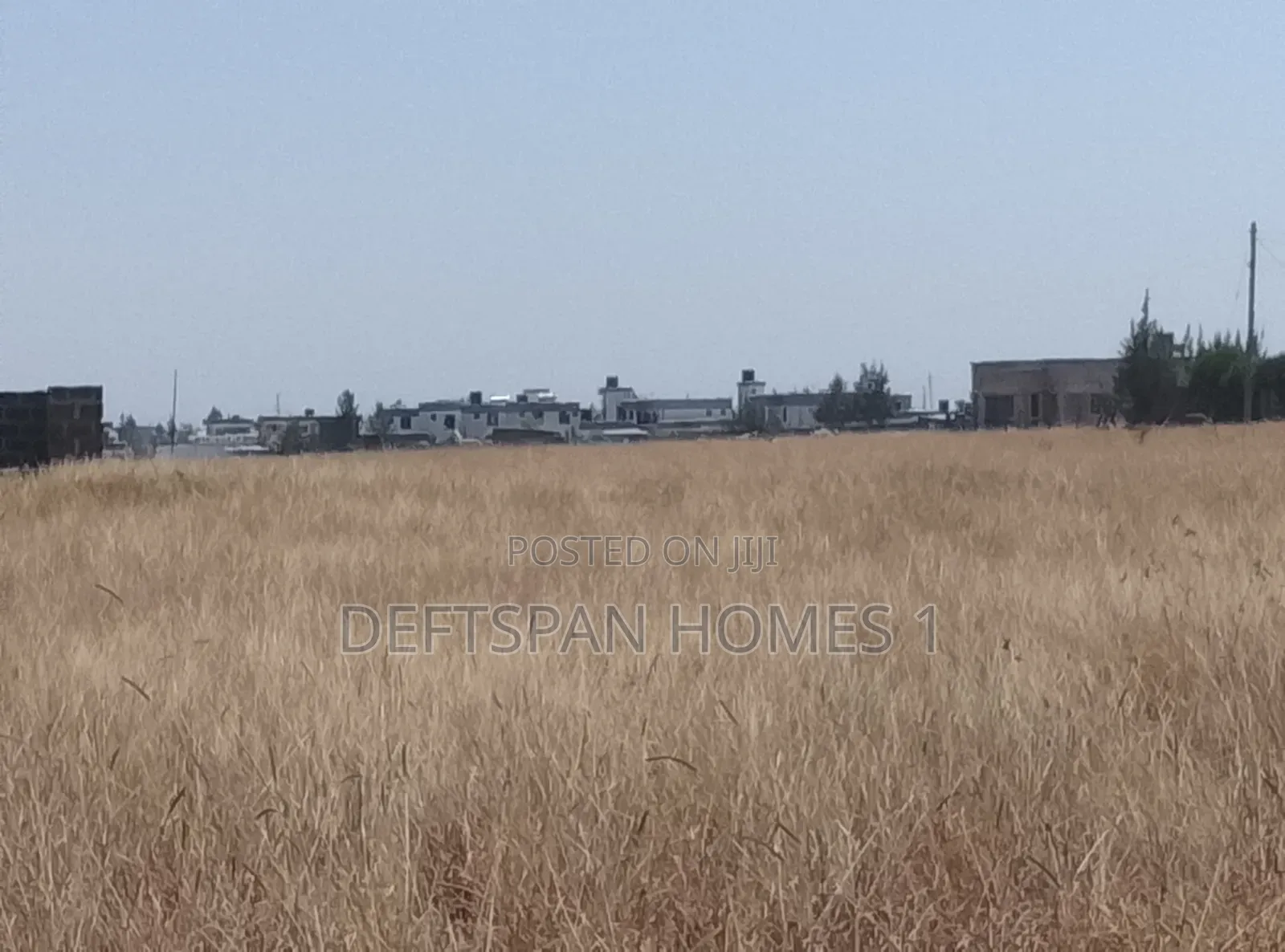100 by 100 Plot Selling at Kantafu Triple M