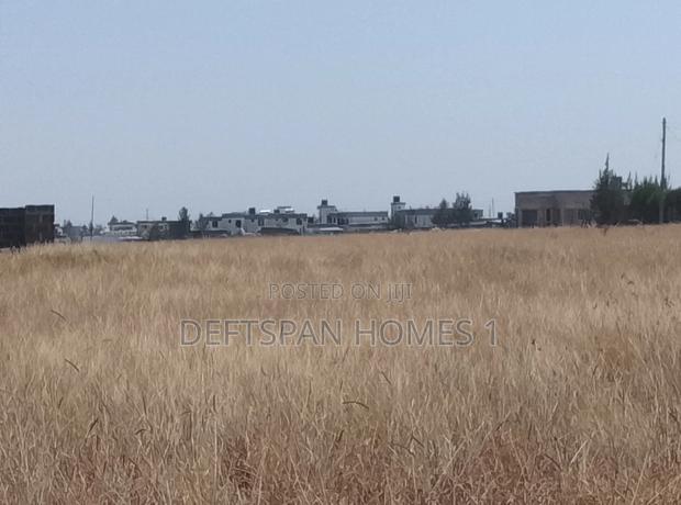 100 by 100 Plot Selling at Kantafu Triple M - thumbnail 2
