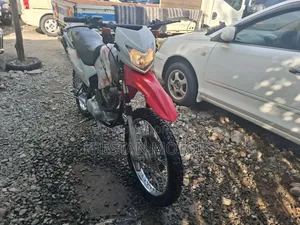 Haojin HJ200GY-2 Warrior 2018 Orange