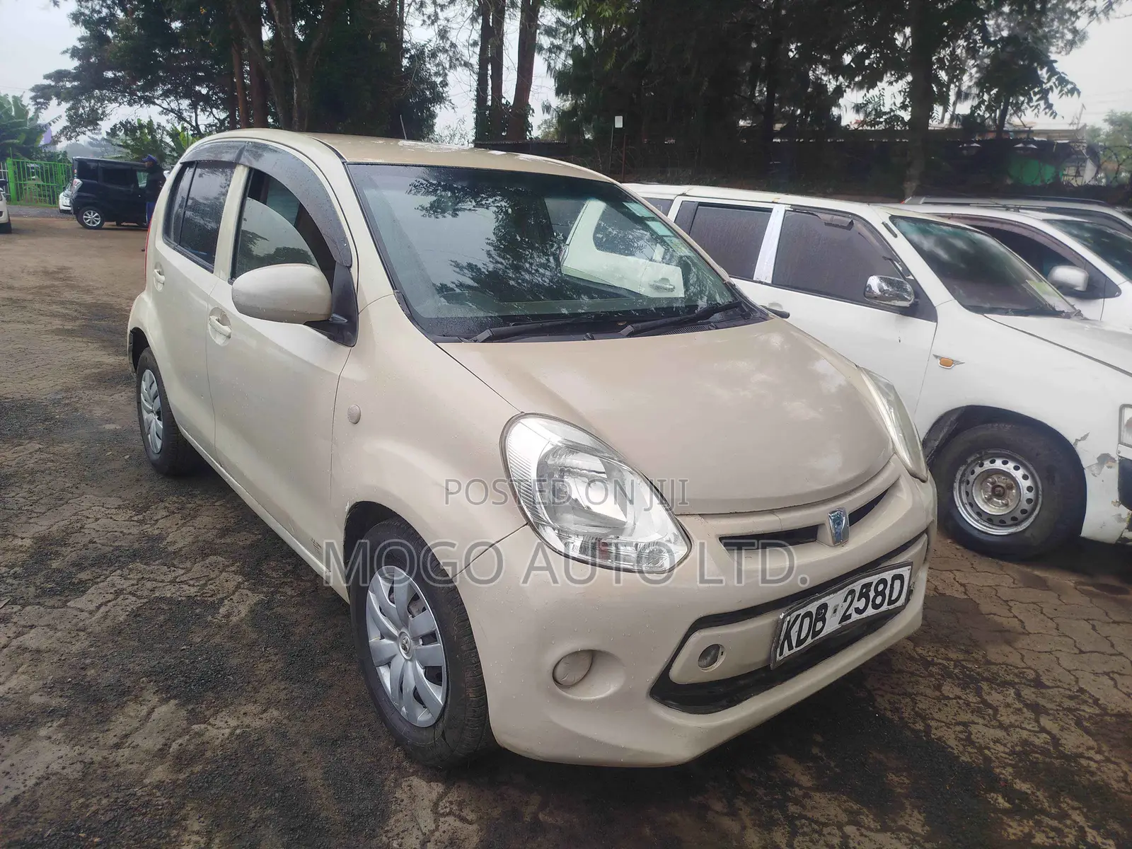 Toyota Passo 2014 Beige