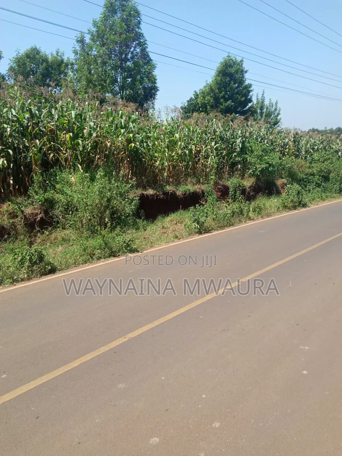 DISTRESS SALE: 1/4 Acre Kanyanjara Kerwa. Touching Tarmack!
