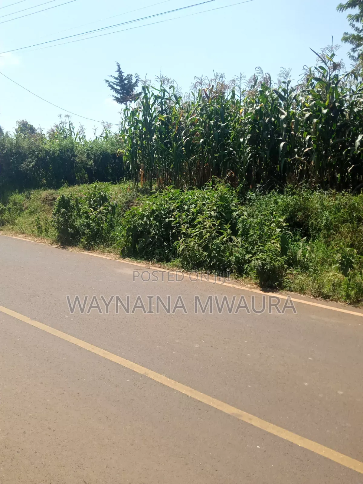DISTRESS SALE: 1/4 Acre Kanyanjara Kerwa. Touching Tarmack!