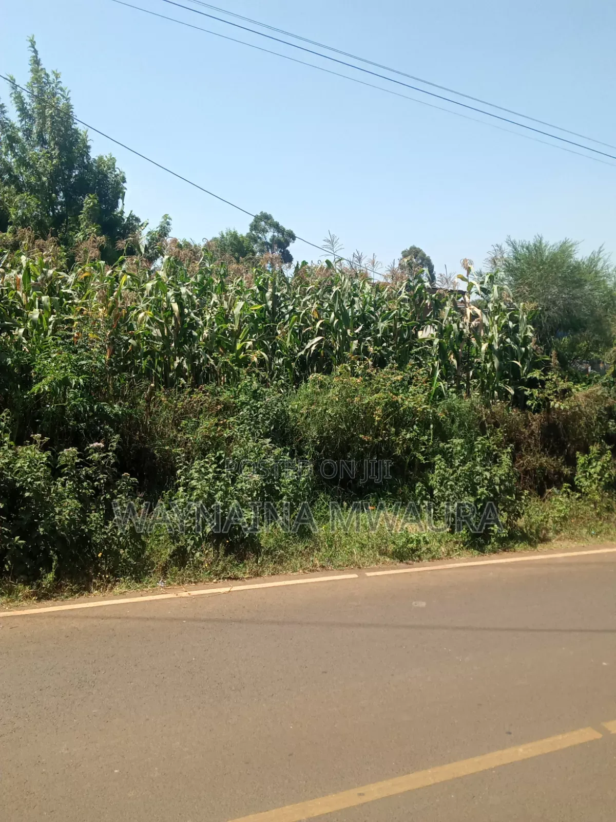 DISTRESS SALE: 1/4 Acre Kanyanjara Kerwa. Touching Tarmack!