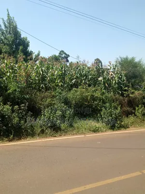 DISTRESS SALE: 1/4 Acre Kanyanjara Kerwa. Touching Tarmack!