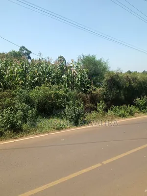 DISTRESS SALE: 1/4 Acre Kanyanjara Kerwa. Touching Tarmack!