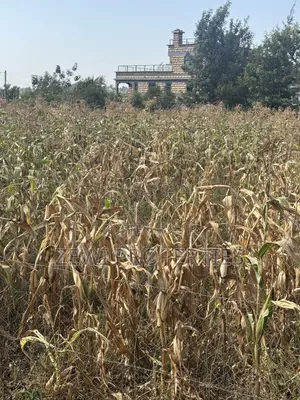 One Acre Chavara