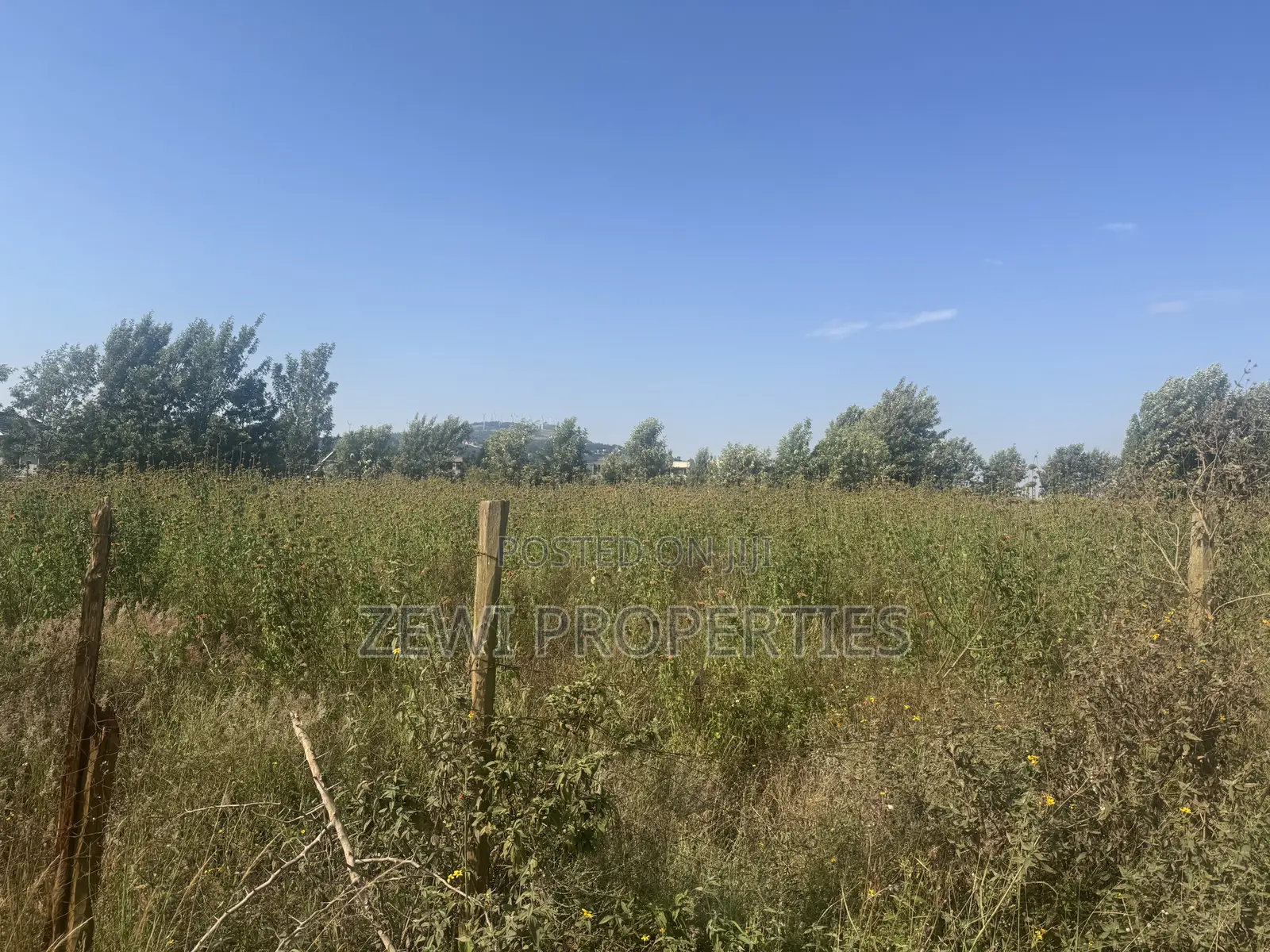 One Acre Chavara