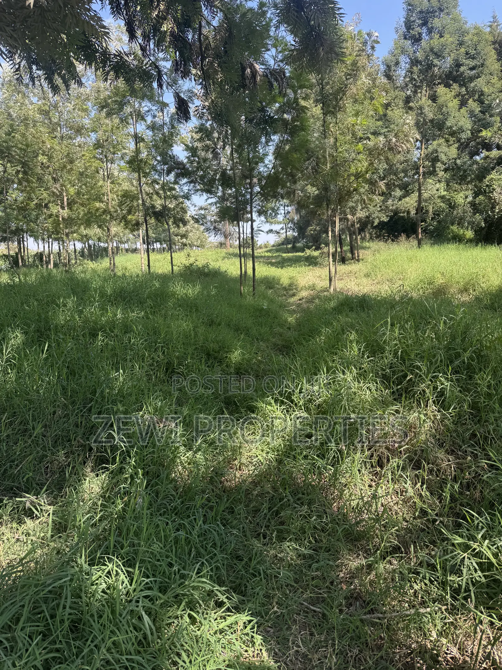 One Acre KIBIT