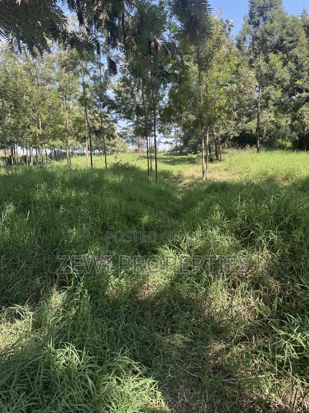 One Acre KIBIT - main view