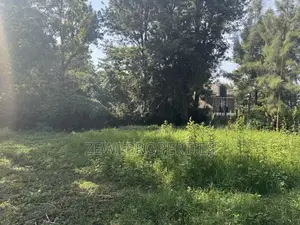 One Acre KIBIT