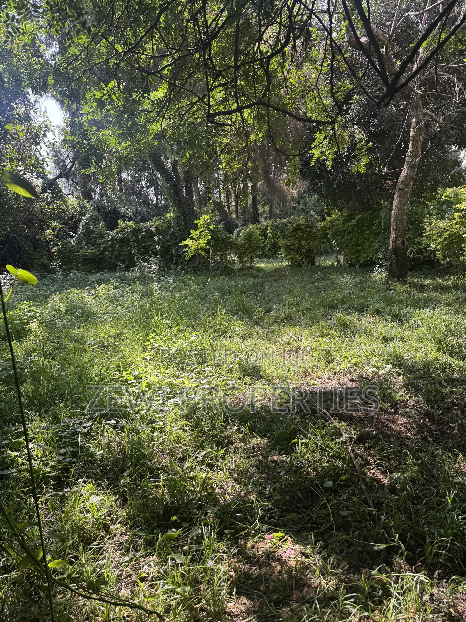 One Acre KIBIT
