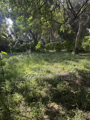 One Acre KIBIT