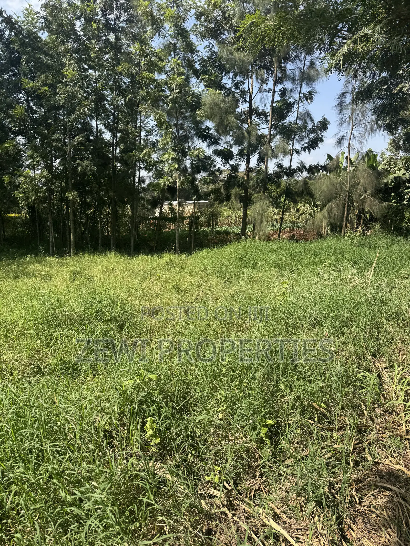 One Acre KIBIT