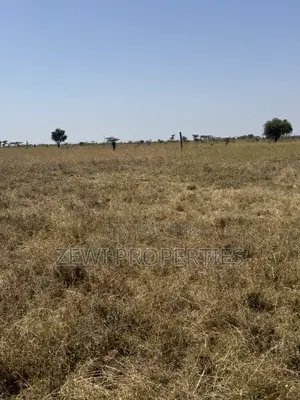 Prime 7 Acres Block Oletepes