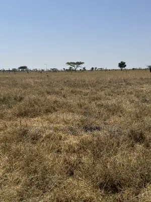 Prime 7 Acres Block Oletepes