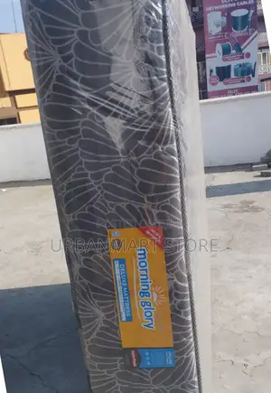 For 11000, You Get Quilted Mattress 5 by 6, 12 Inches- Morning Glory