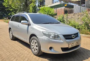 Toyota Corolla Fielder 2013 Silver