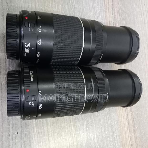 Canon 75-300mm - main view