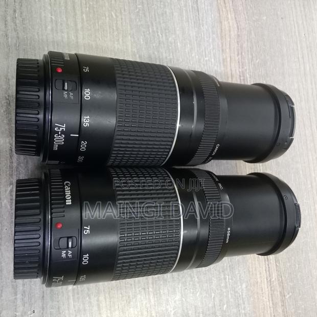 Canon 75-300mm - thumbnail 2