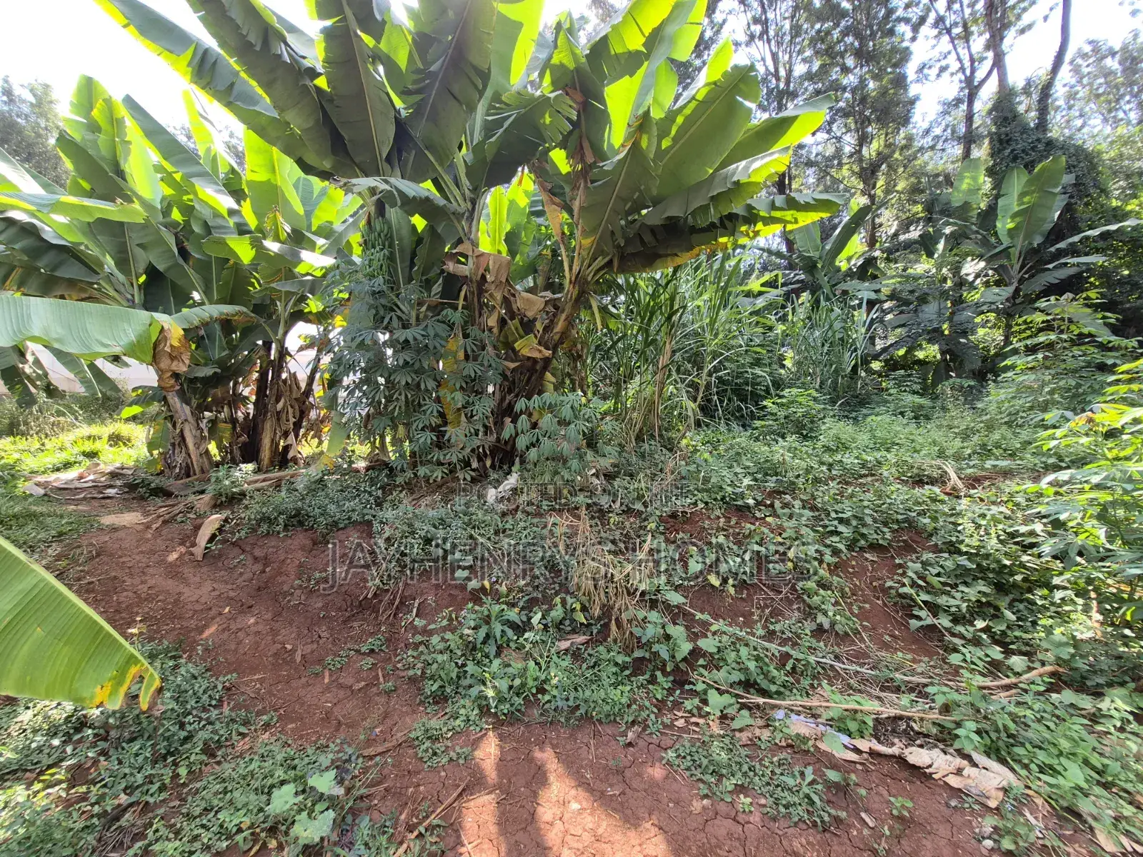 Half Acre Plot for Sale in Runda Near Makini School